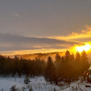 Meet your Posher, Alice